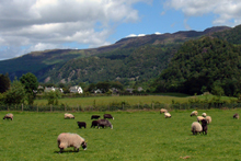 The view of surrounding Borrowdale fells from Hollows Farm